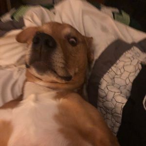 Meet your Posher, Patrick